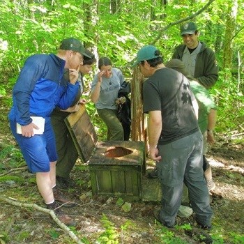 A group of people looking into a pit toilet in the woods.