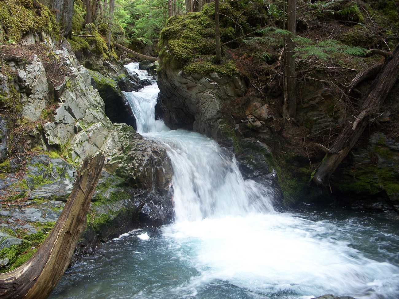 May Creek (above the East bank bridge). NPS/Mack Kolarich