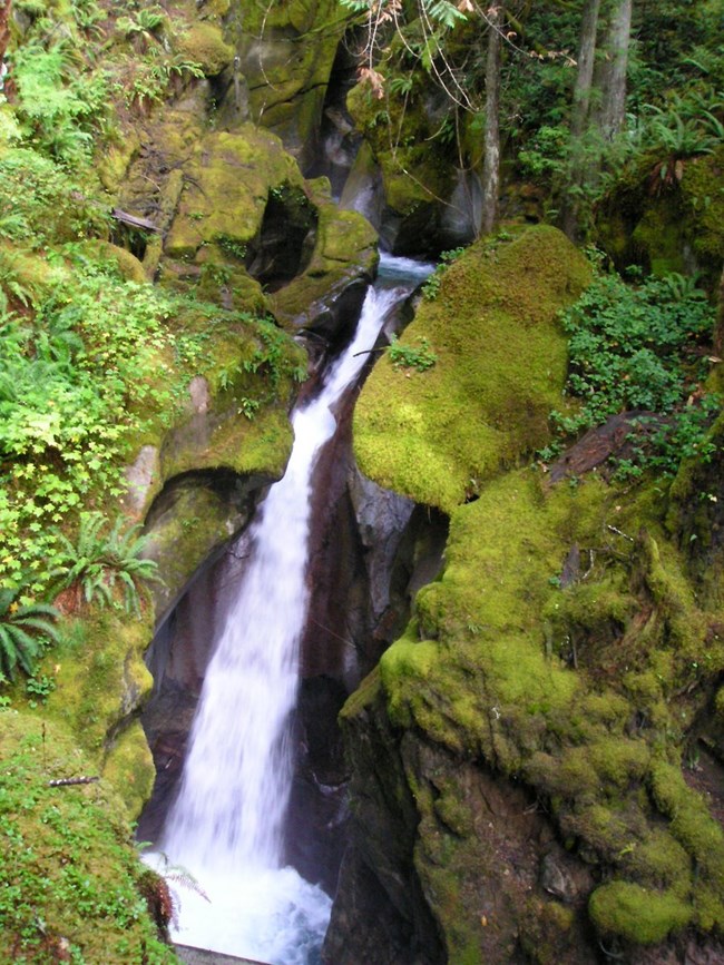 Falls in flume, Ladder Creek Falls Trail