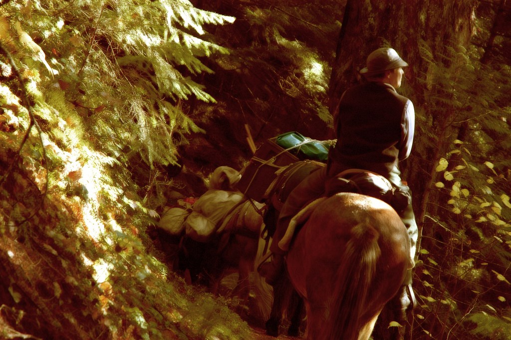 Packing on the Thunder Creek Trail