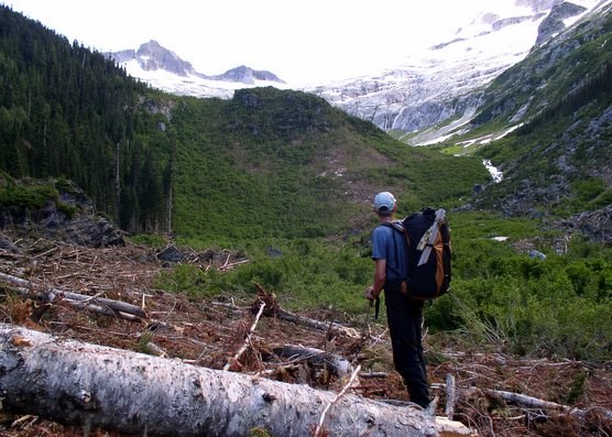 Climber standing in avalanche path, looking toward route up a distant peak.