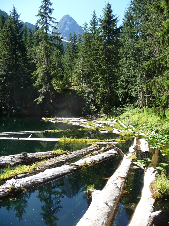 Pyramid Lake
