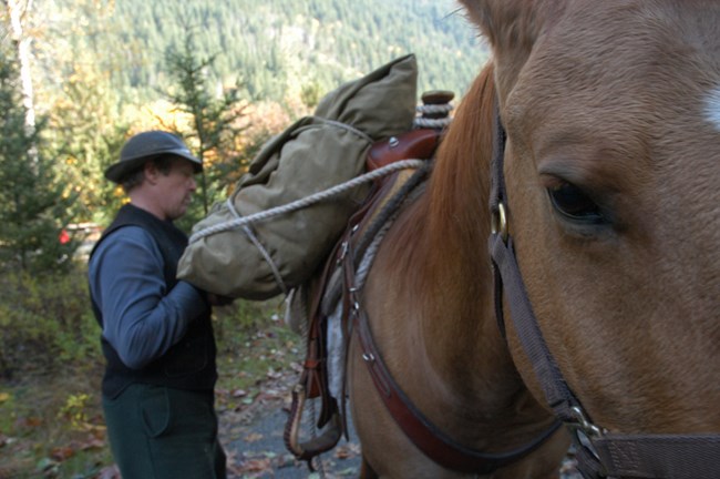 Loading the horses with gear