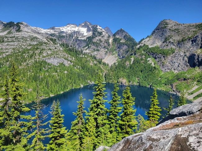 Thornton Lakes in mid July