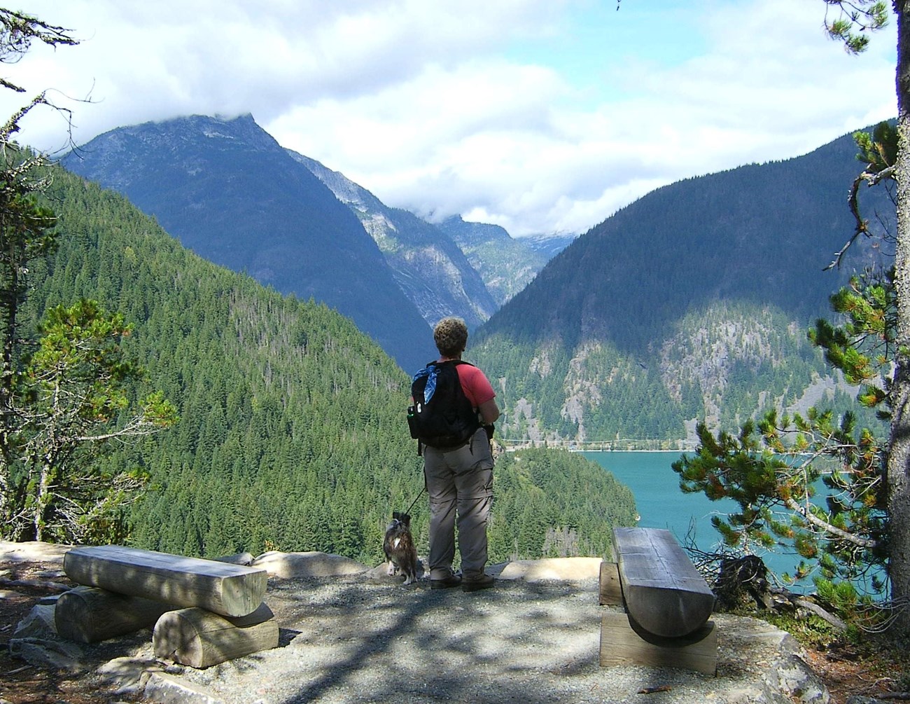 Hiker with leashed pet