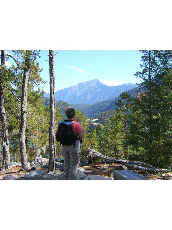 Vista point on trail