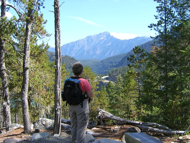 Vista point on trail