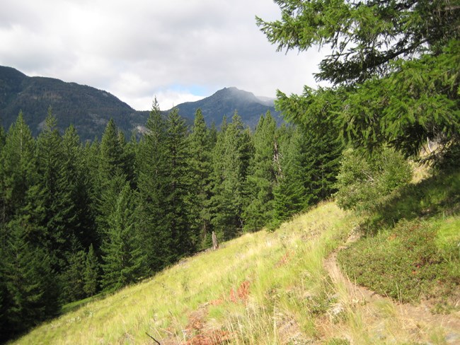 Upper Rainbow Loop Trail