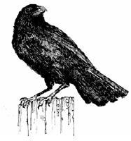 Graphic - Raven