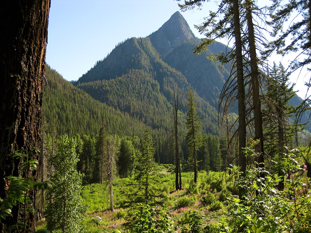 View of Peak 6062' from the Flat Creek Trail