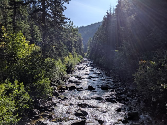 pacific crest trail