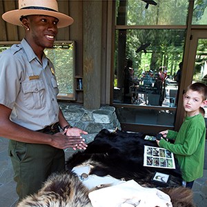 ranger table talk with bear skin and skull ranger table talk with bear skin and skull