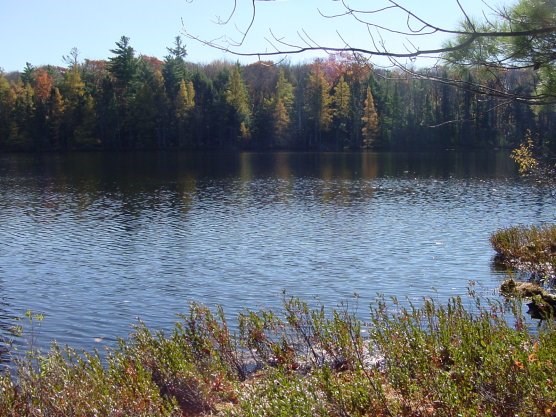 view of lake from the North Country National Scenic Trail