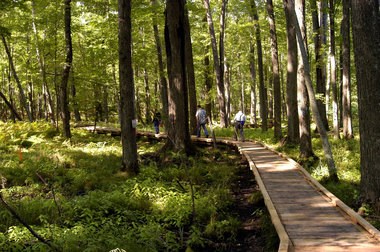 wheelchair portion of trail