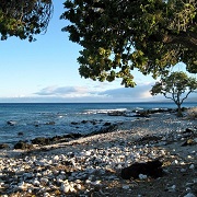 Ala Kahakai National Historic Trail