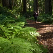 Coastal Trail