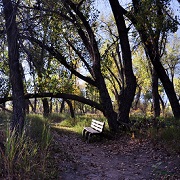 Confluence Trail