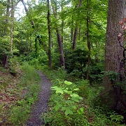 Fort Circle Parks