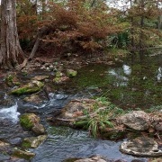 Honey Creek Trail 