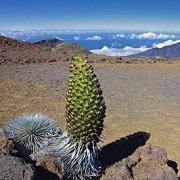 Kaupo Trail 