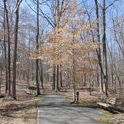 Kings Mountain Hiking 