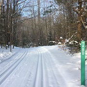 Munising Cross-Country Ski National Recreation Trail