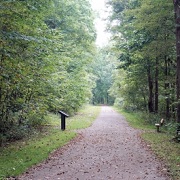 Staple Bend Tunnel Trail 