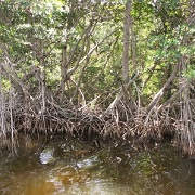 Wilderness Waterway 