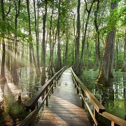 Natchez Trace National Scenic Trail