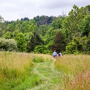 Potomac Heritage National Scenic Trail