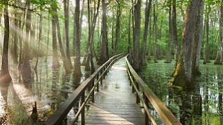 National Scenic Trails