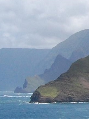 Image 41