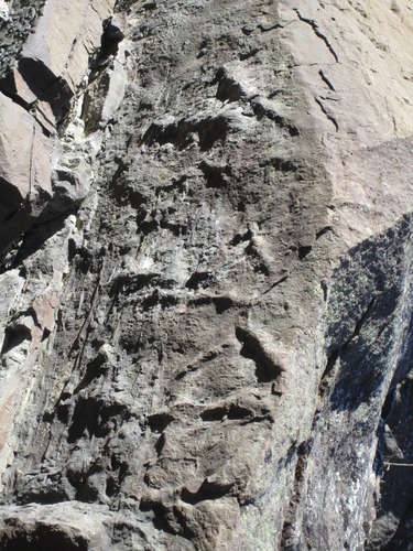 impressions running down a long line in the side of cliff.