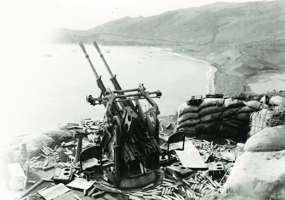 25mm (Type 96) Anti-Aircraft Gun