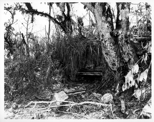 A pillbox camouflaged with masonry and vegetation. Only a small opening can be seen.