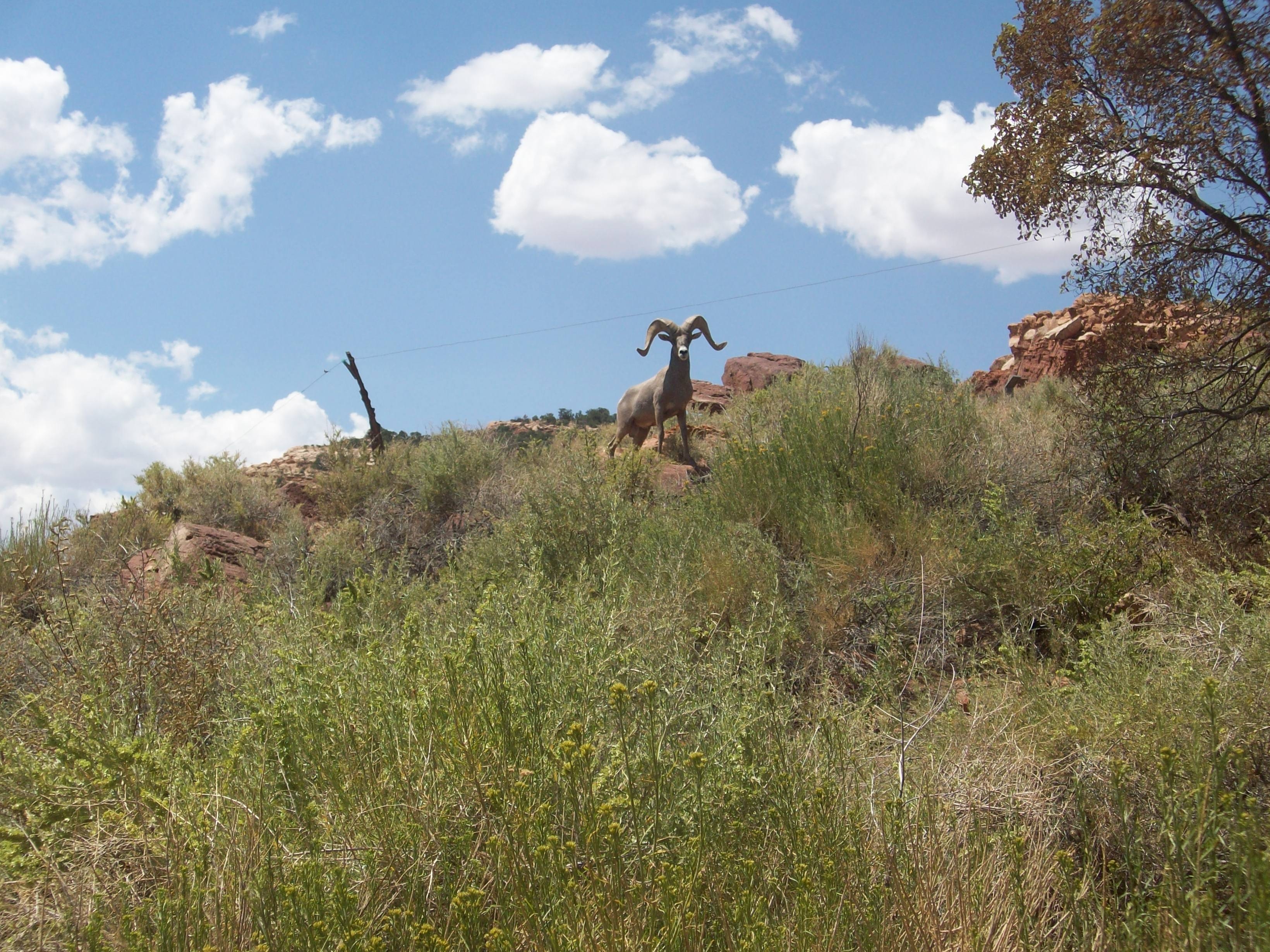 Pipe Spring National Monument
