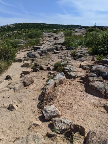 Blue blazes on rocks leading up to a mountain summit