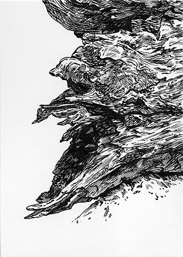 This pen and ink drawing shows a decomposing stump on its side.