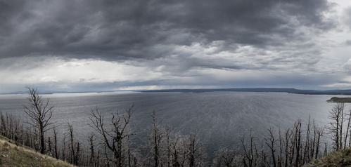 Yellowstone Lake from Lake Butte Overlook
