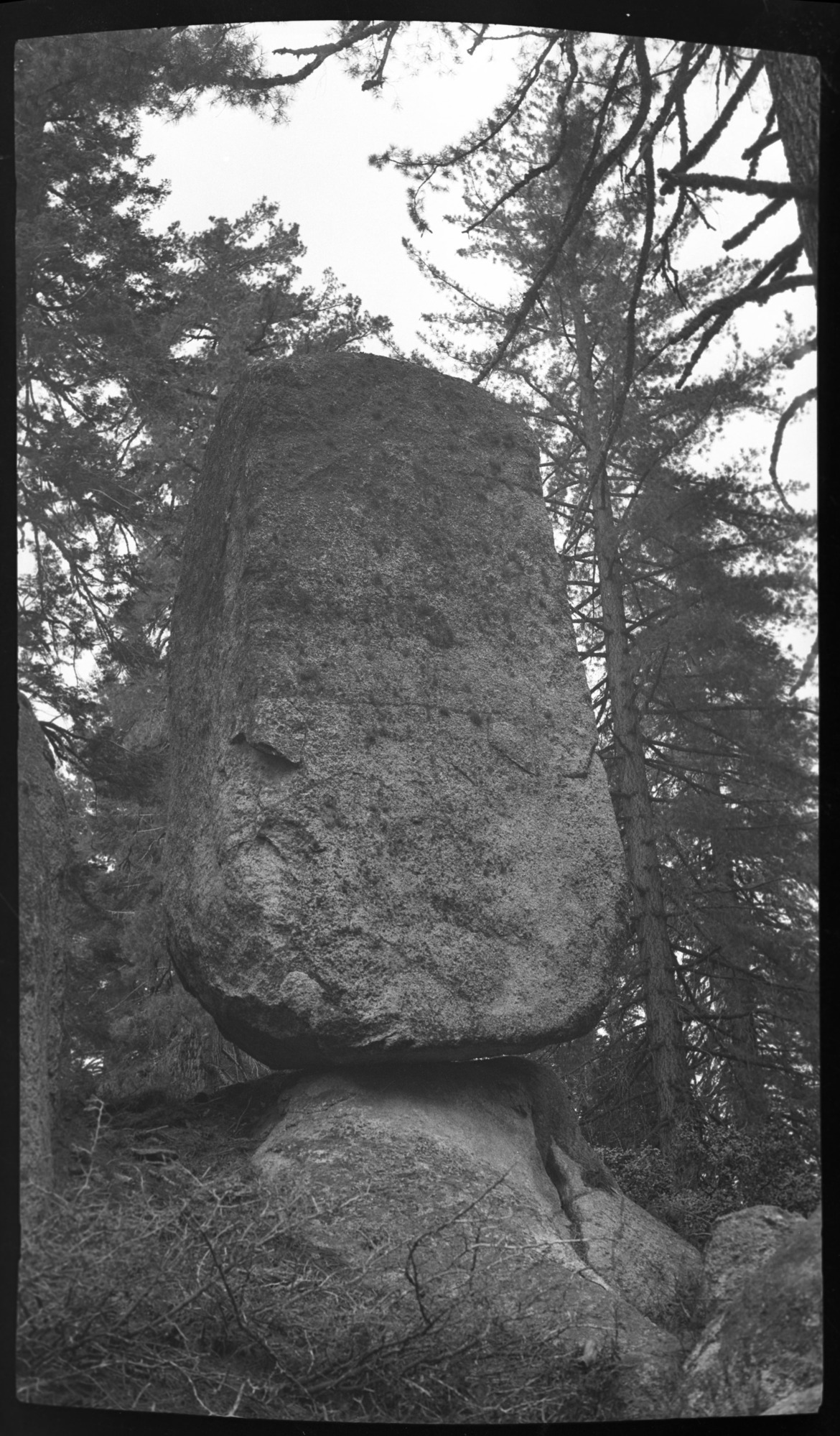 SEKI Roberts Collection Series: 2 Negatives; 7 Landmarks