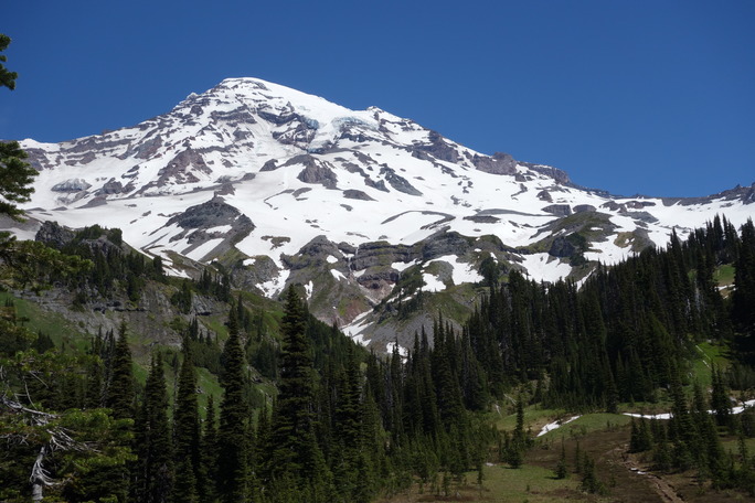 A glaciated mountain peak above a meadow slope dotted with patches of fir trees. 