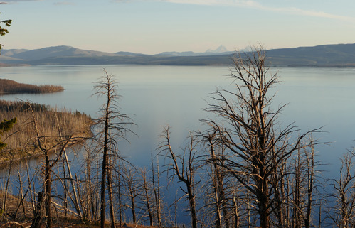 Yellowstone Lake