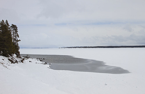 Yellowstone Lake at Pumice Point