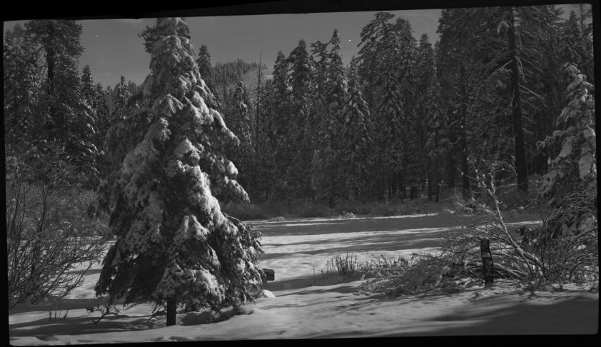 SEKI Roberts Collection Series: 2 Negatives; 12 Scenics