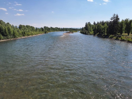 Snake River Moose, WY looking downstream, July 11, 2024.