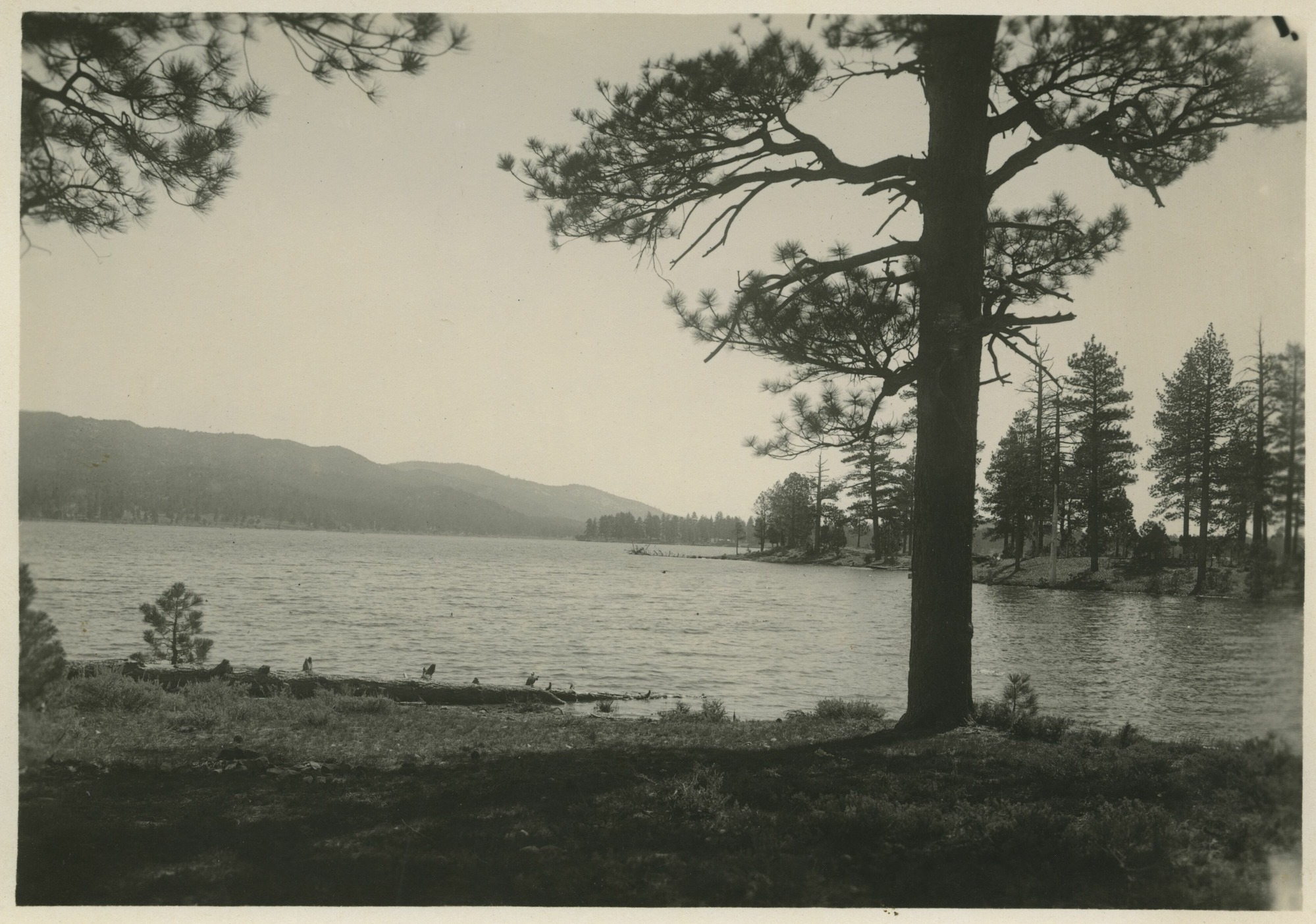 SEKI Roberts Collection Series: 3 Prints; 1 Small; 6 Lakes