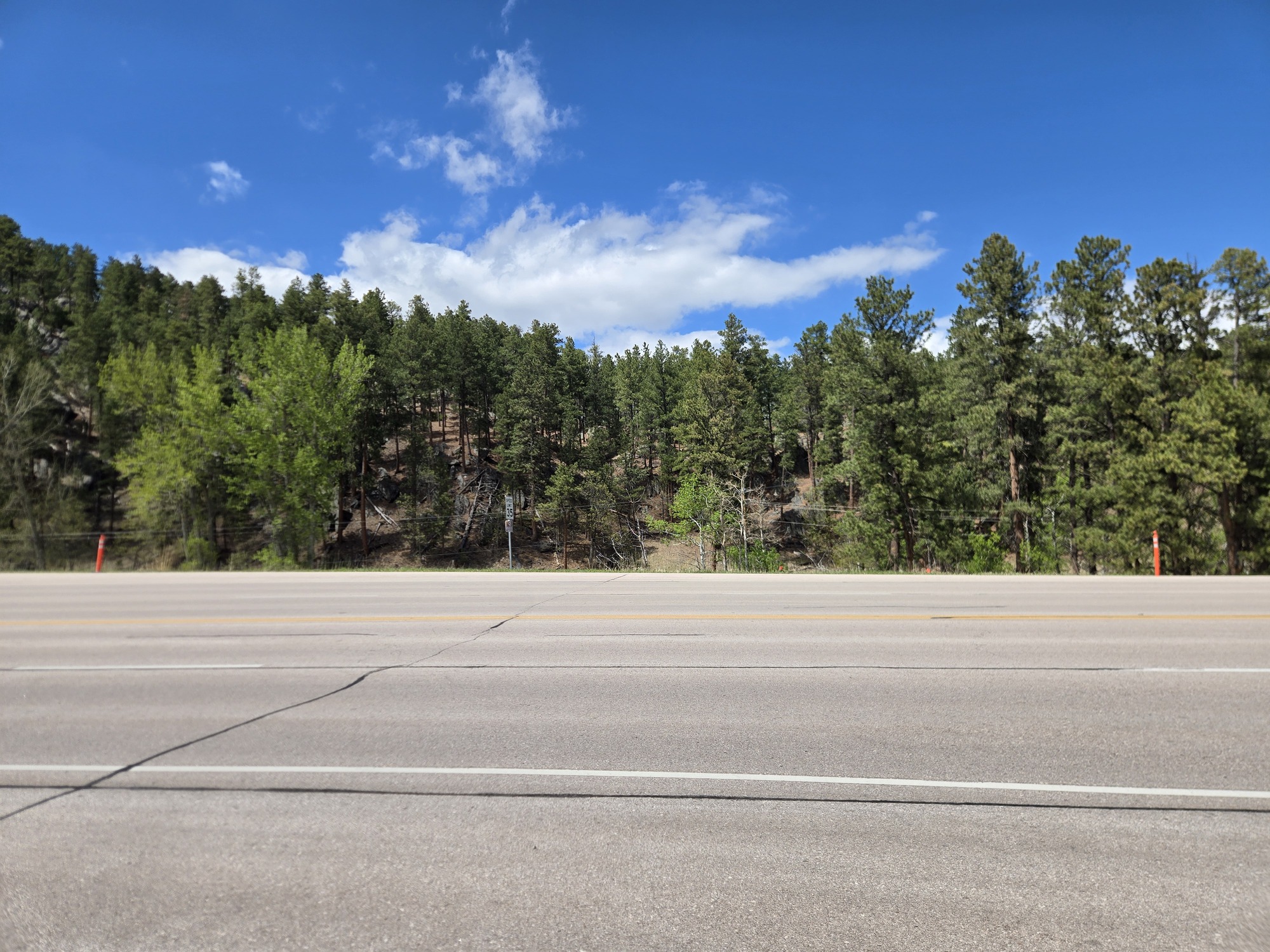 A wide roadway runs across the foreground with a forested hillside in the background, filled with tall pine trees under a bright blue sky with scattered white clouds