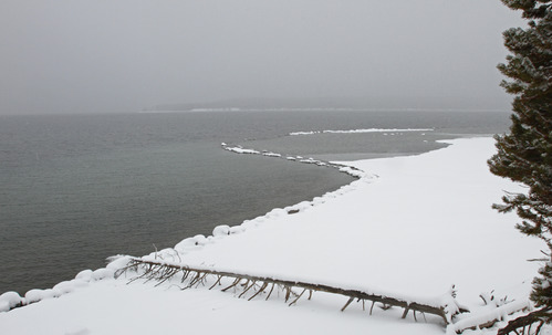 Yellowstone Lake