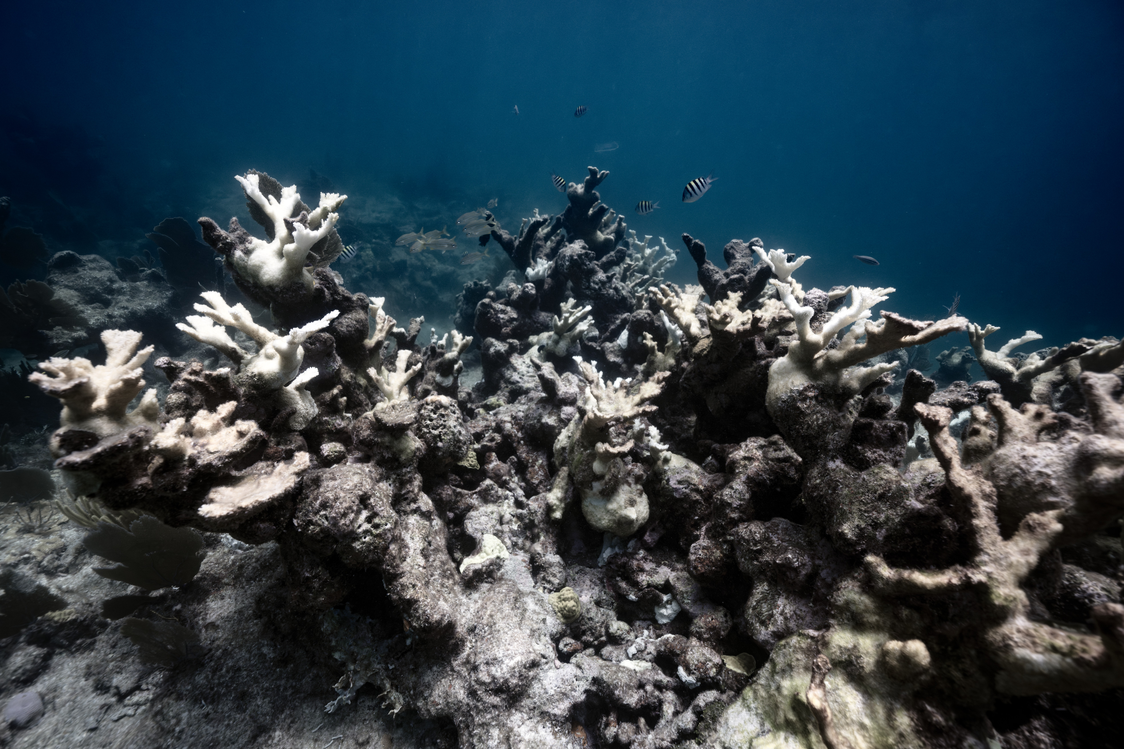 Biscayne National Park