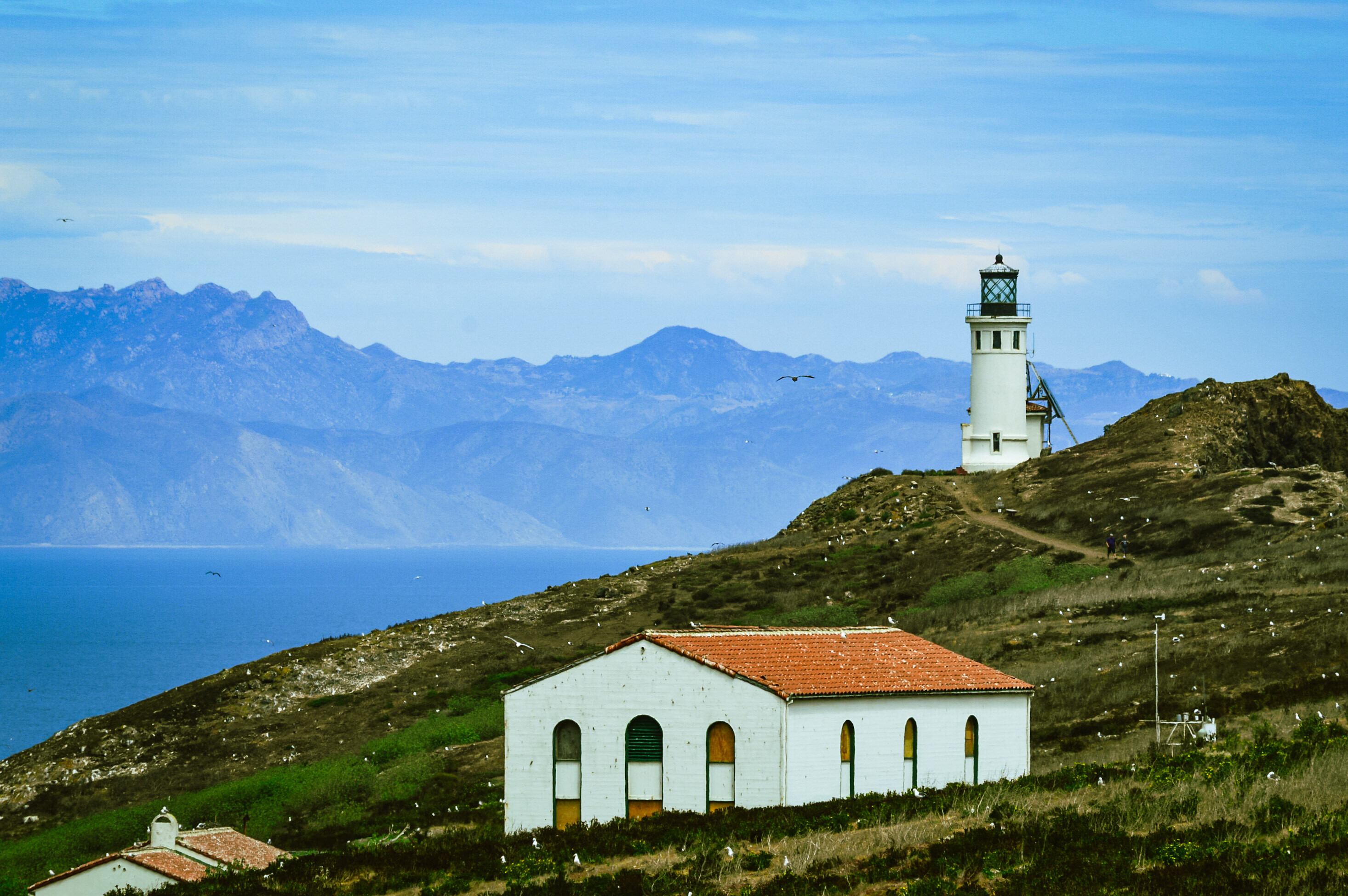 A white lighthouse with black lattice work around the light room sits atop a rocky hill covered in dark green scrub, bright green grasses and dotted with white western gulls. Below the lighthouse is a Spanish revival style whitewashed rectangular building with tall window arches curved at the top and a red tile roof. Brown mountains appear through the misty blue backdrop separated by calm, blue water 